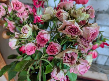 küçük gül kurutulmuş gül buketi. kuru çiçek yaprakları.