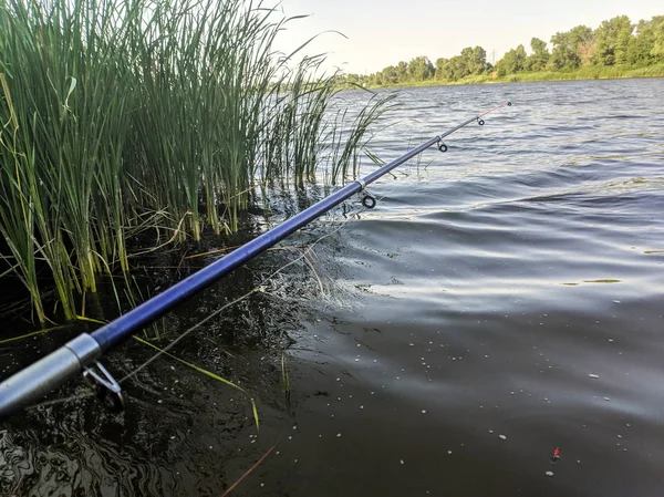 Vara Pesca Mão Pesca Rio — Fotografia de Stock