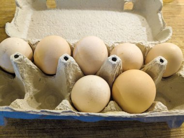 bir stand üzerinde tavuk yumurtası