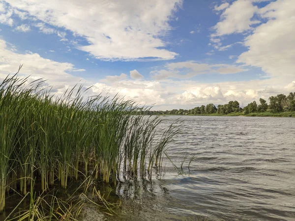 Stock image summer landscape with river and clouds