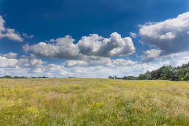 güzel yaz manzara. gökyüzünde alan ve bulutlar.