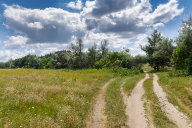 yol ve ağaçlar ile güzel yaz manzara