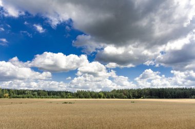güzel yaz manzara. gökyüzünde alan ve bulutlar.