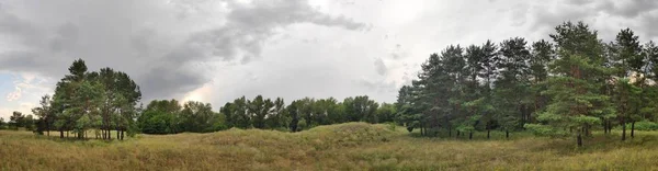 Landschap Zomer Voor Regen — Stockfoto