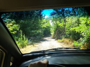 araba içinde, bir arabanın direksiyonuna sürücü, araba ile seyahat