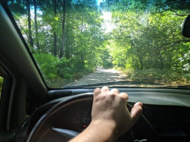 araba içinde, bir arabanın direksiyonuna sürücü, araba ile seyahat