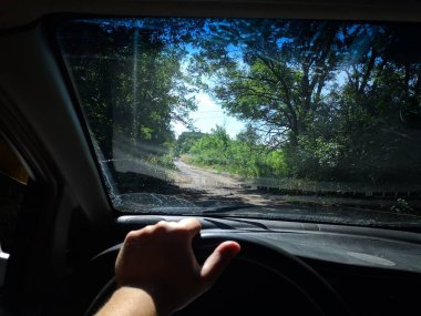 araba içinde, bir arabanın direksiyonuna sürücü, araba ile seyahat