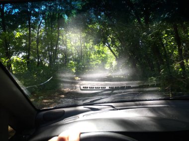 araba içinde, bir arabanın direksiyonuna sürücü, araba ile seyahat