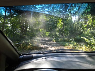 araba içinde, bir arabanın direksiyonuna sürücü, araba ile seyahat