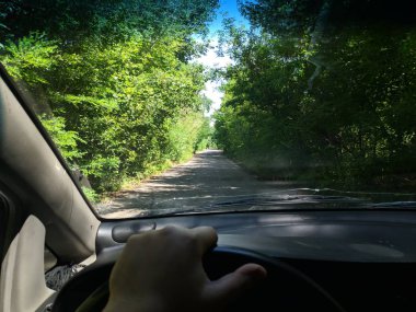 araba içinde, bir arabanın direksiyonuna sürücü, araba ile seyahat