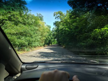 araba içinde, bir arabanın direksiyonuna sürücü, araba ile seyahat