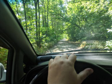 araba içinde, bir arabanın direksiyonuna sürücü, araba ile seyahat