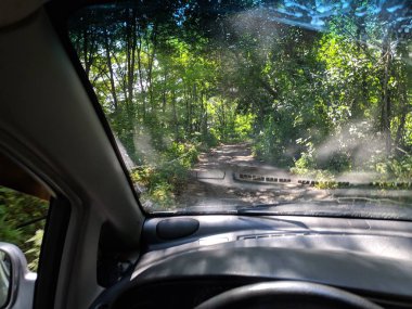 araba içinde, bir arabanın direksiyonuna sürücü, araba ile seyahat