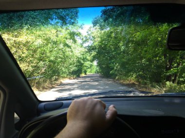 araba içinde, bir arabanın direksiyonuna sürücü, araba ile seyahat