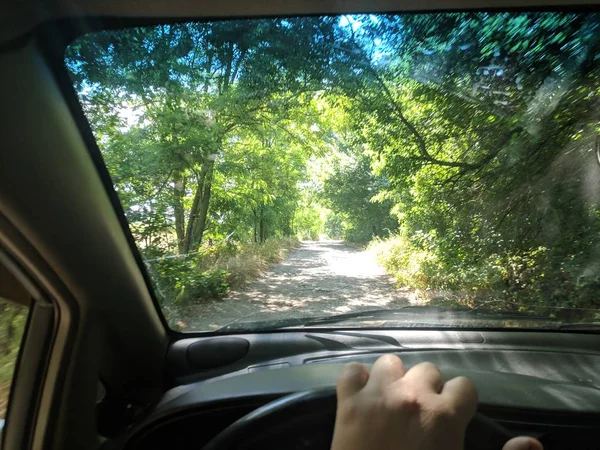 araba içinde, bir arabanın direksiyonuna sürücü, araba ile seyahat