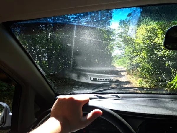 araba içinde, bir arabanın direksiyonuna sürücü, araba ile seyahat