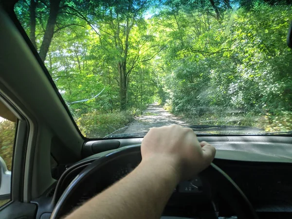 inside the car, the driver behind the wheel of a car, travel by car