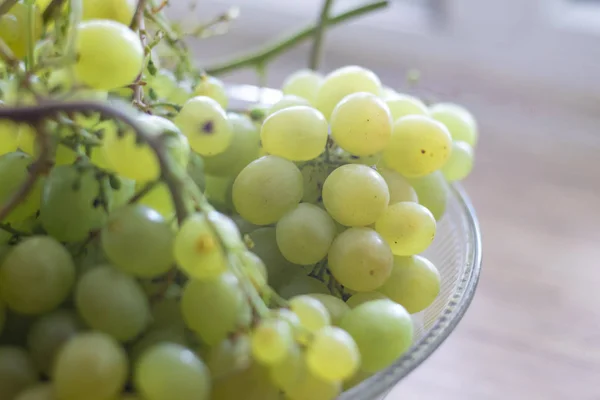 beautiful bunches of white grapes. delicious grapes