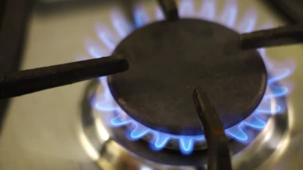Oheň Plynového Sporáku Modrý Požár Zemního Plynu — Stock video