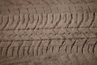 kumda lastik sırt baskılar