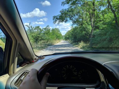 bir arabada seyahat. Sürücü sürüyor. yaz yolu.