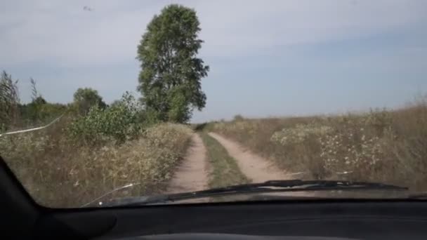 Conducir Coche Camino Forestal — Vídeos de Stock