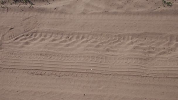 砂の中のタイヤの跡 車の痕跡 — ストック動画