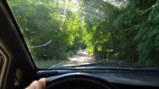 Dirigindo Carro Uma Estrada Florestal — Vídeo de Stock