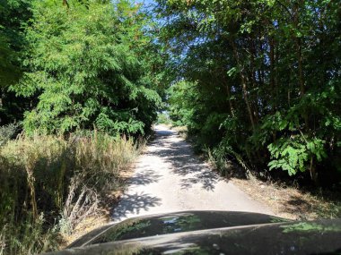 Bir arabanın içinde sürme. araç iç. sürücü toprak bir yolda sürmek.