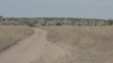 kumlu bir yol ile doğal peyzaj