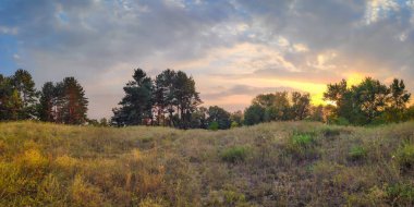 orman ile manzara panorama. panorama doğa akşamı
