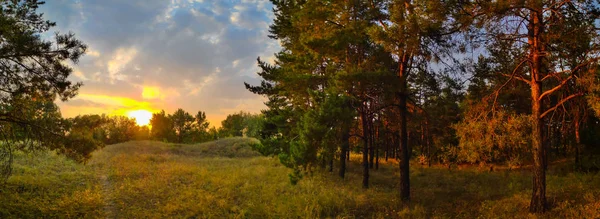 Landschaftspanorama Mit Wald Naturpanorama Abend — Stockfoto