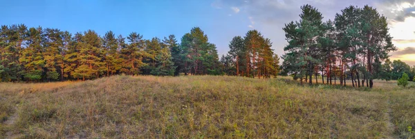 Landschap Panorama Met Bos Panorama Natuur Avond — Stockfoto