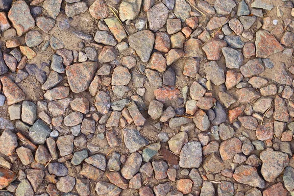 Szürke Kövek Különböző Méretű — Stock Fotó