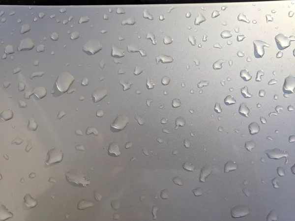 Big Raindrops Abstract Gray Background Drops Gray Background — Stock Photo, Image