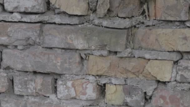 Старая Кирпичная Стена Текстура Кирпичной Стены — стоковое видео