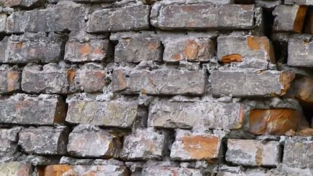 Стара Цегляна Стіна Текстура Цегляної Стіни — стокове відео