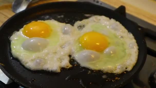 Goreng Telur Dalam Panci — Stok Video