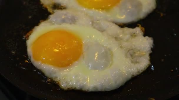 Τηγανητά Αυγά Τηγάνι — Αρχείο Βίντεο