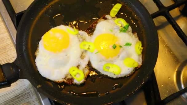 Fried Eggs Pan — Stock Video