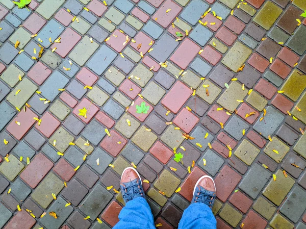 Жовте Осіннє Листя Тротуарі Взуття Жовтому Листі — стокове фото