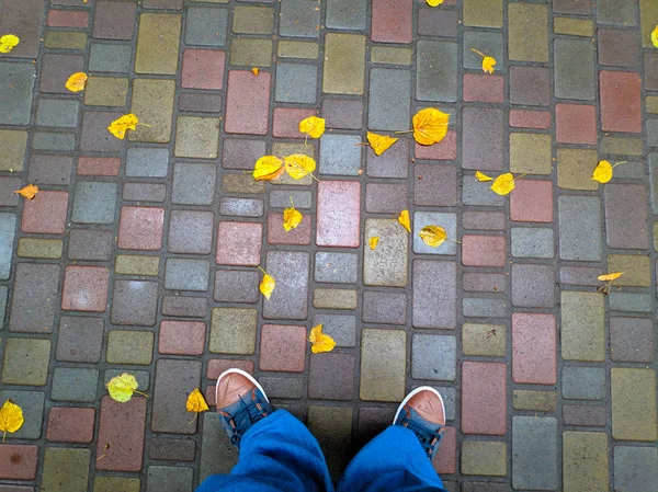 Жовте Осіннє Листя Тротуарі Взуття Жовтому Листі — стокове фото