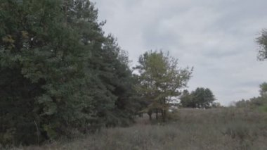 Doğal sonbahar manzarası. Kötü bir gün. Yağmurdan önce hava..