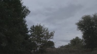 Doğal sonbahar manzarası. Kötü bir gün. Yağmurdan önce hava..