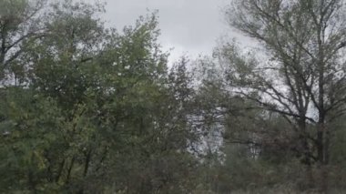 Doğal sonbahar manzarası. Kötü bir gün. Yağmurdan önce hava..