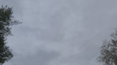 Doğal sonbahar manzarası. Kötü bir gün. Yağmurdan önce hava..