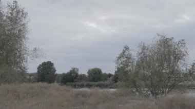 Doğal sonbahar manzarası. Kötü bir gün. Yağmurdan önce hava..