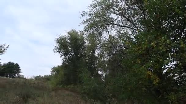 Natuurlijk Herfstlandschap Het Een Nare Dag Het Weer Voor Regen — Stockvideo