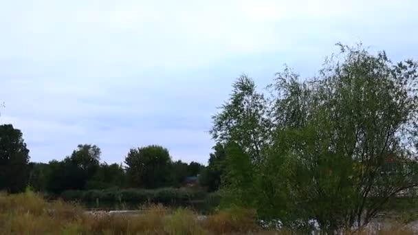Paysage Naturel Automne Est Une Sale Journée Temps Avant Pluie — Video