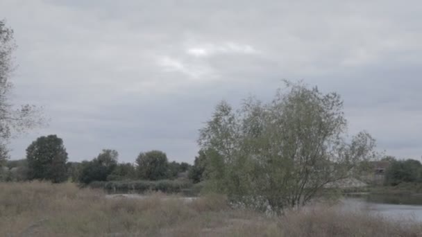 Paysage Naturel Automne Est Une Sale Journée Temps Avant Pluie — Video